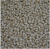  Traffic bisquit 0490